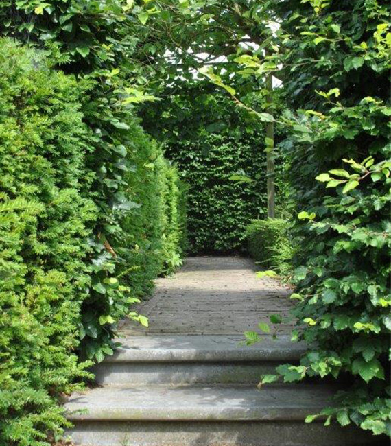tuinpad klinkers